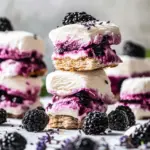 Blackberry Lavender Ice Cream Sandwiches