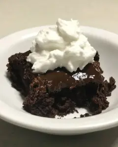 Hot Fudge Pudding Cake
