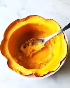 Pumpkin Puree