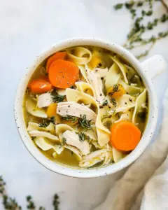 Instant Pot Chicken Noodle Soup