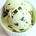 Mint Chocolate Chip Ice Cream