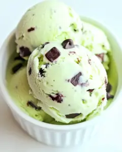 Mint Chocolate Chip Ice Cream