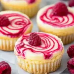 Raspberry Swirled Mini Cheesecakes