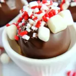 Solo Cup Chocolate Bombs