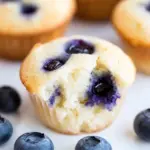 Sugar Free Blueberry Muffins