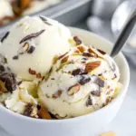 Toasted Almond Fudge Ripple Ice Cream