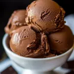 Vegan Chocolate Ice Cream